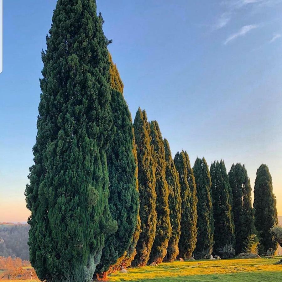 I Segreti Del Borgo Villa Penna in Teverina Exterior photo